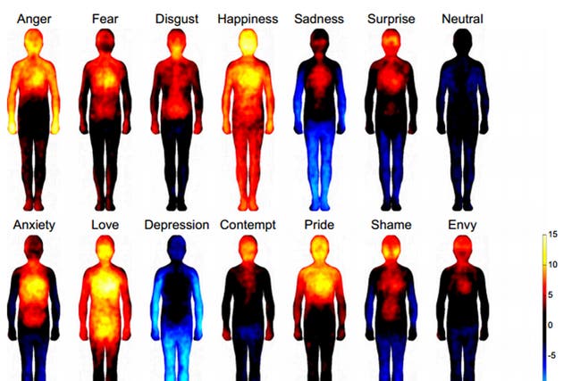 The 'body atlas' shows where people feel certain emotions, regardless of their backgrounds, according to a new study