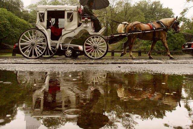 Central Park's iconic horse-drawn carriages may soon disappear from the tourist trail under a new plan