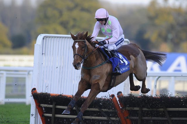 Irish trainer Willie Mullins must choose between several Festival targets for Annie Power, pictured
