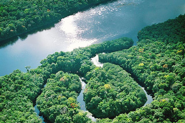 Green days: exploring the Amazon