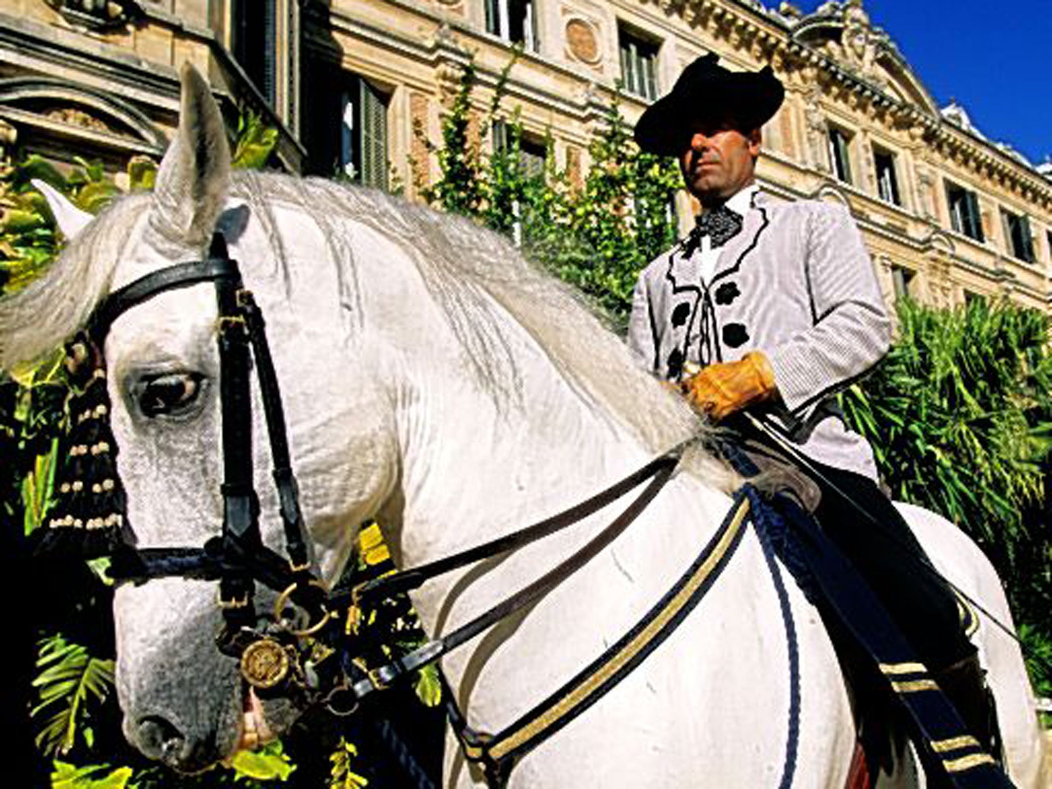 The Royal Andalusian School of Equestrian Art: bi-weekly shows by the dancing horses