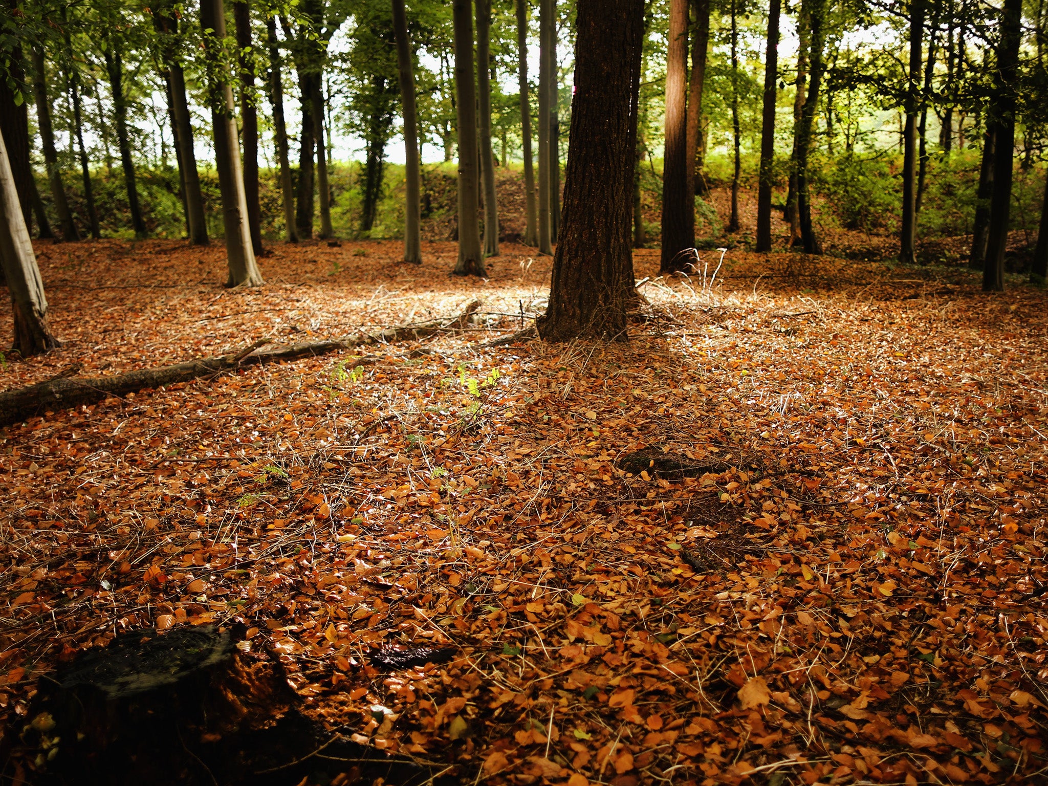 ‘Biodiversity offsetting’ will “deliver a better environment over the long term,” Mr Paterson has claimed