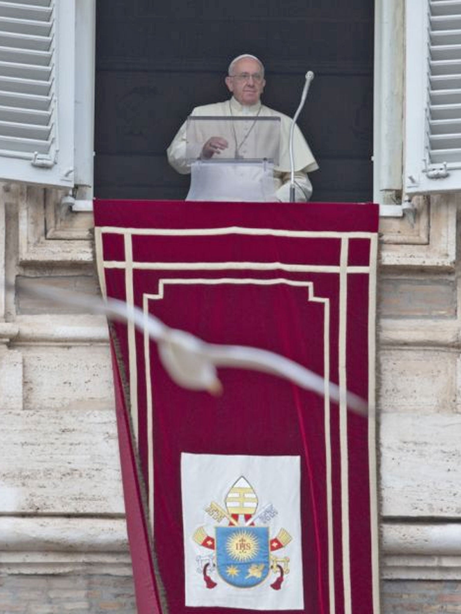 A seagull flies past pope Francis as he arrives for the Angelus noon prayer he celebrates from the window of his studio overlooking St. Peter's Square at the Vatican on Sunday 5 January