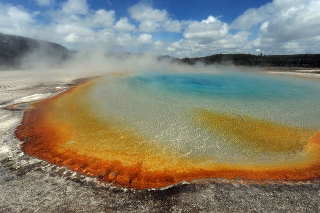 A three-year-old was taken to hospital with severe burns after running into a Yellowstone geyser