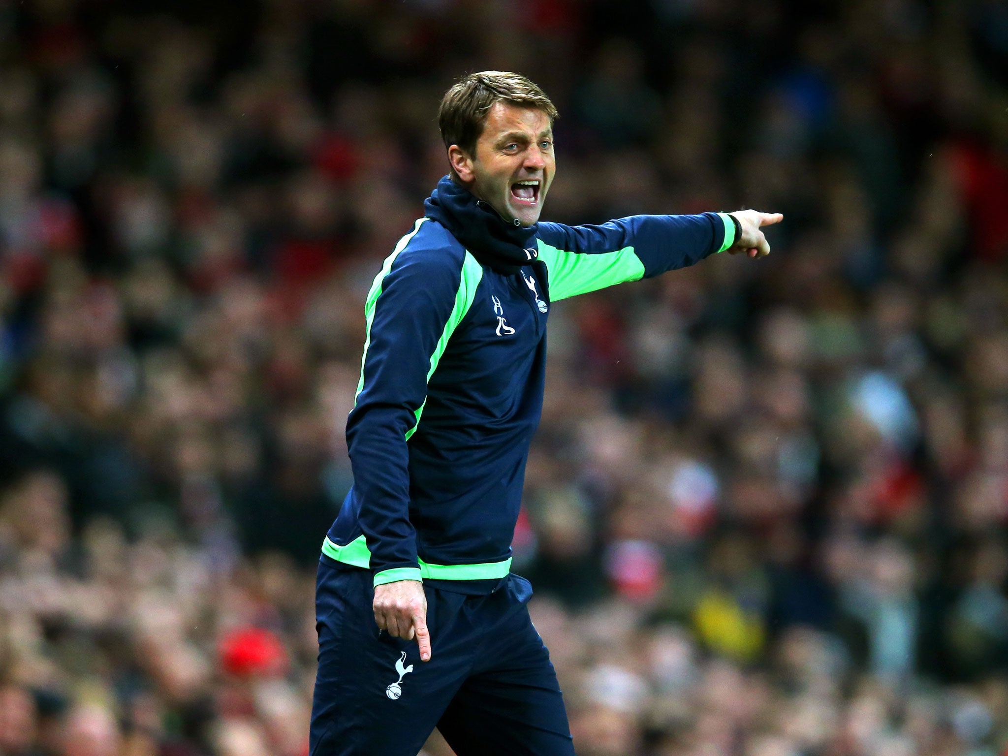Tottenham manager Tim Sherwood gestures from the sidelines during his side's 2-0 defeat to Arsenal in the FA Cup third round