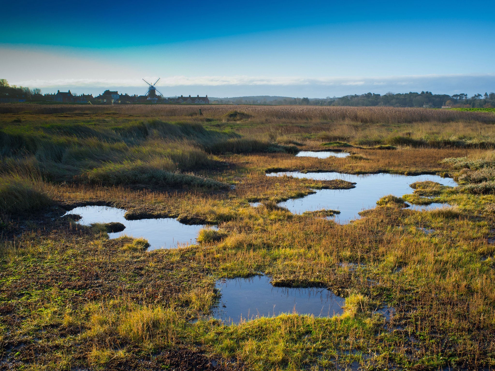 View of coastal marshland habitat in Cley-next-the-sea, Norfolk (Rex)