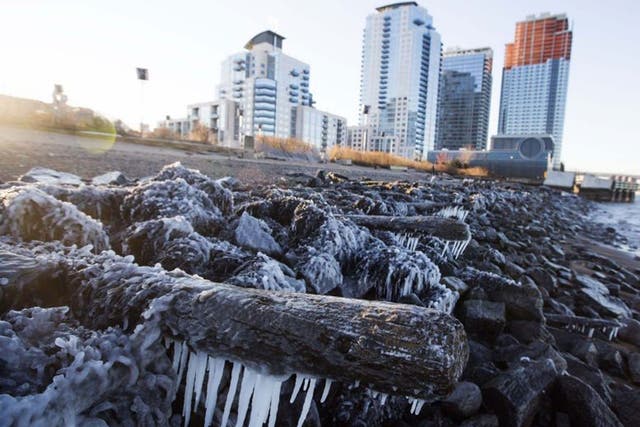 Ice forms on the shore of the East River due to unusually low temperatures caused by a polar vortex in New York 