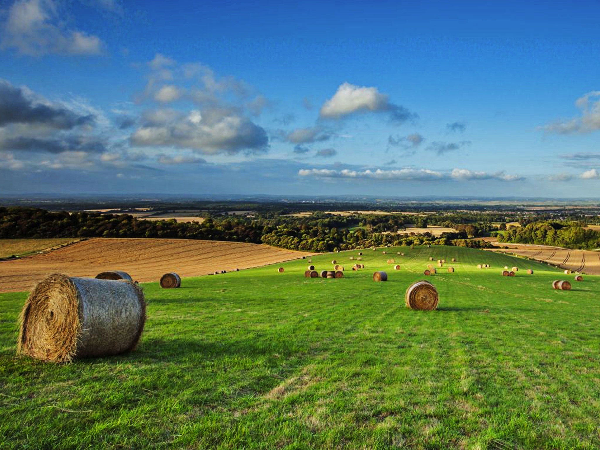 The South Downs National Park