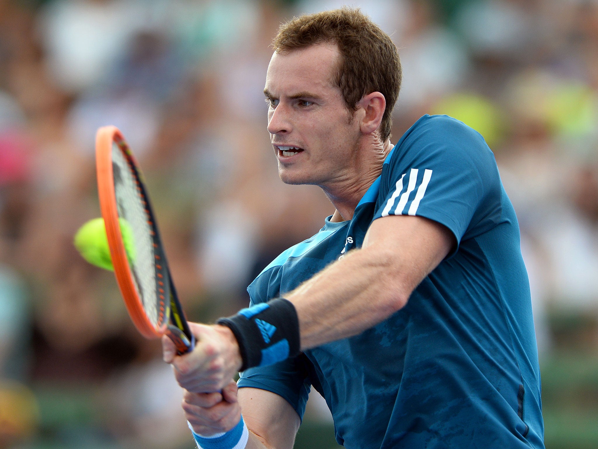Andy Murray will face Go Saeda of Japan in the first round of the Australian Open.