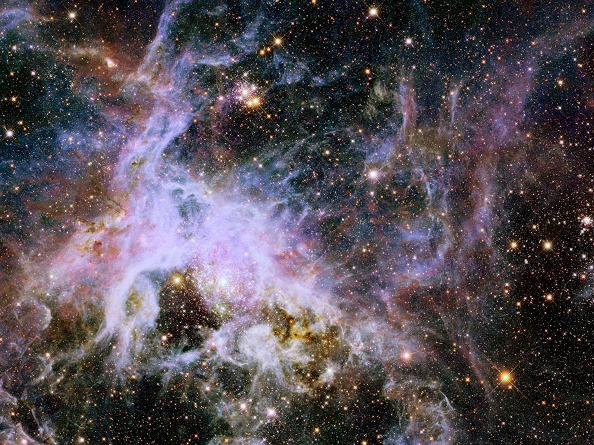 Acosmic creepy-crawly known as the Tarantula Nebula in infrared light