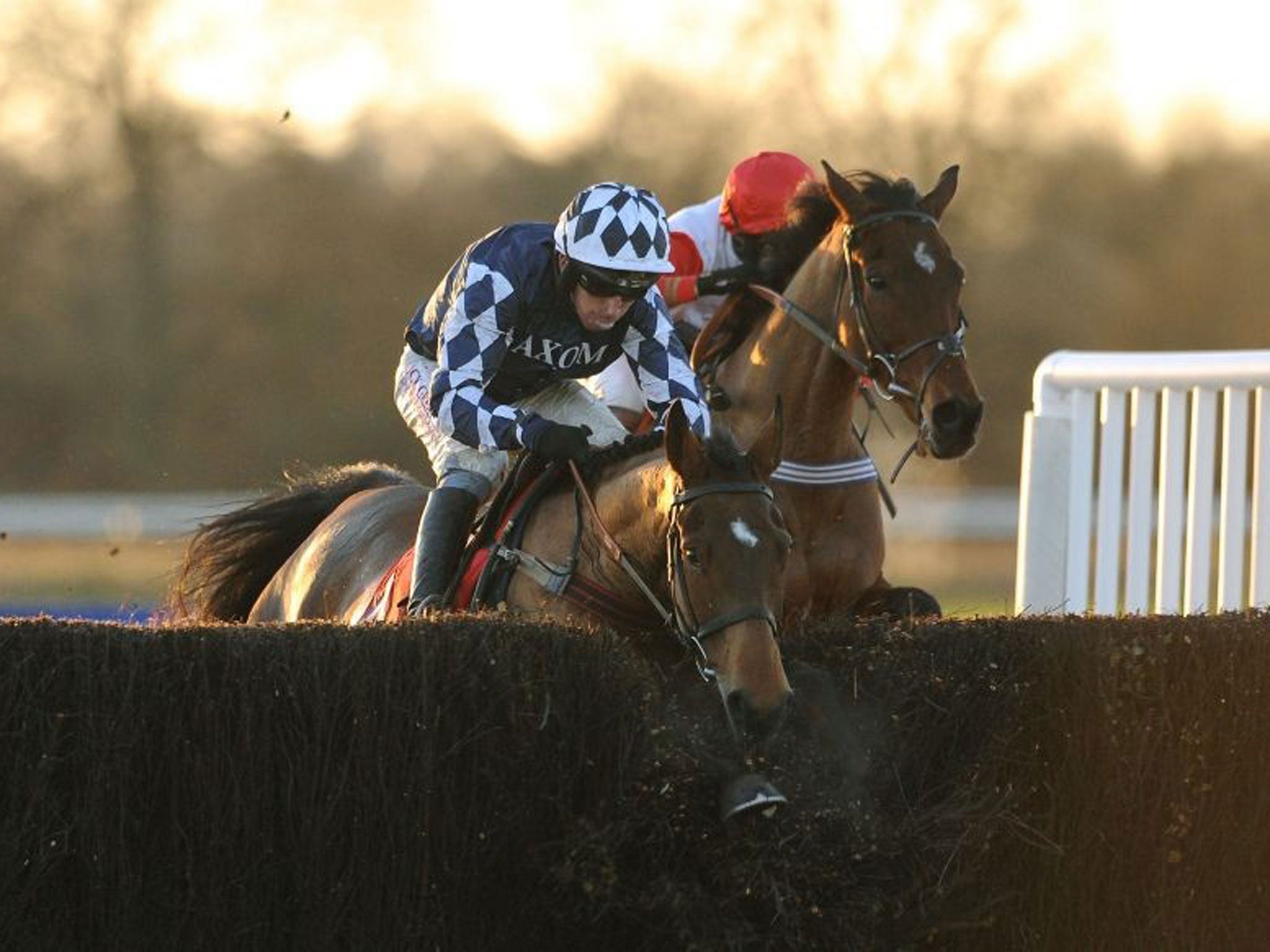 Bang on target : Shotgun Paddy (left) gets his nose in front of Carruthers in the Betfred Classic Chase at Warwick
