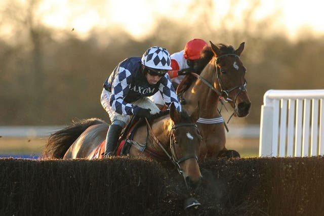 Bang on target : Shotgun Paddy (left) gets his nose in front of Carruthers in the Betfred Classic Chase at Warwick  