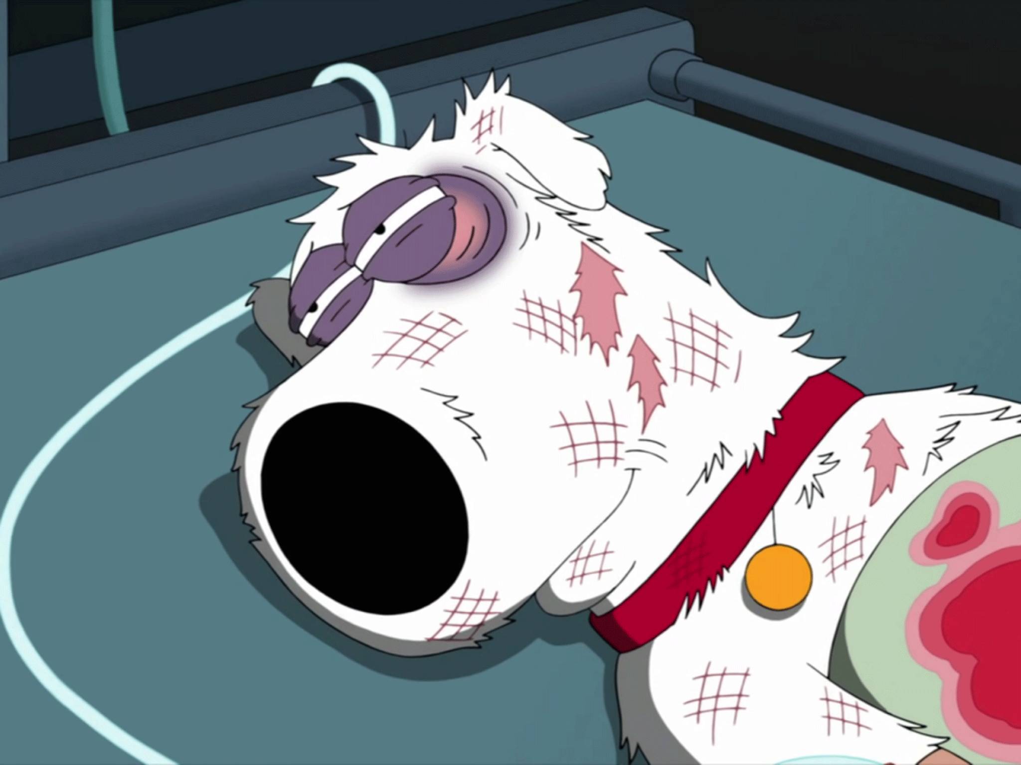 Brian Griffin was killed in a car accident on Family Guy