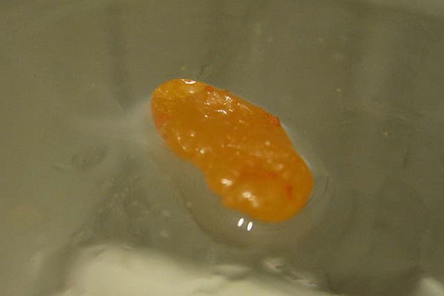 White phosphorus has a similar appearance to amber 