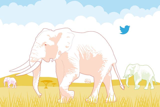 You can follow four elephants at #elephantslive