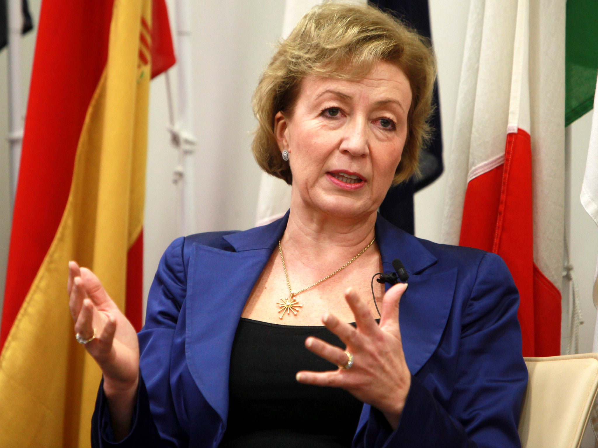 Andrea Leadsom is the head of Fresh Start Group
