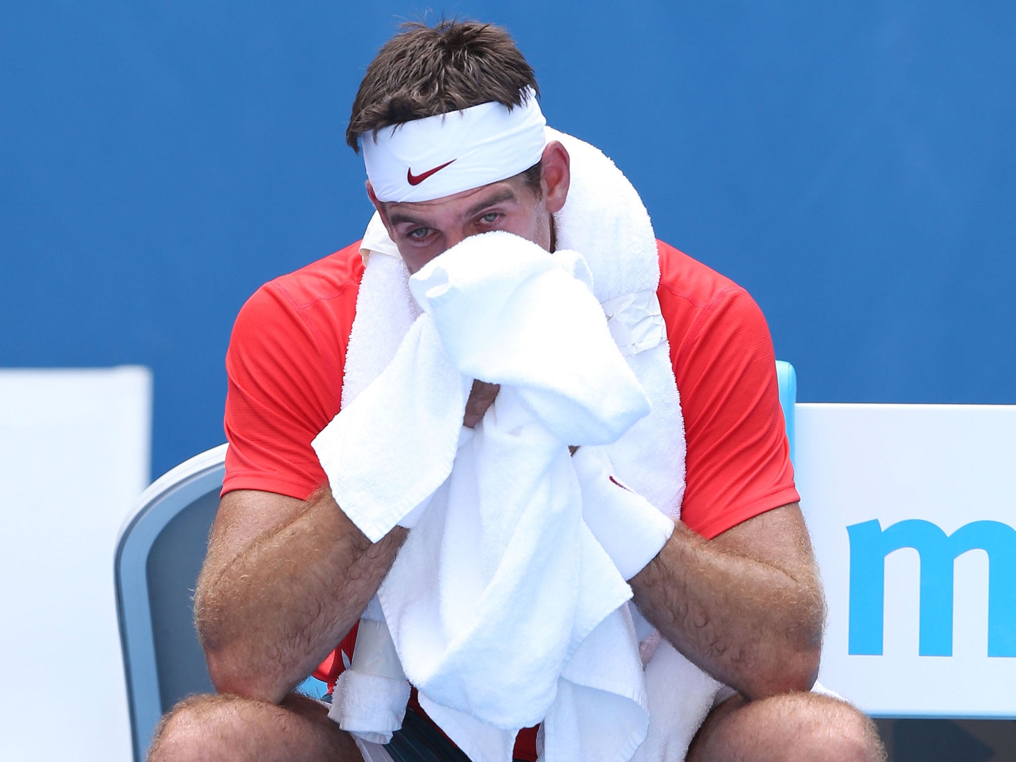 Juan Martin Del Potro was beating in the second round of the Australian Open by Roberto Bautista