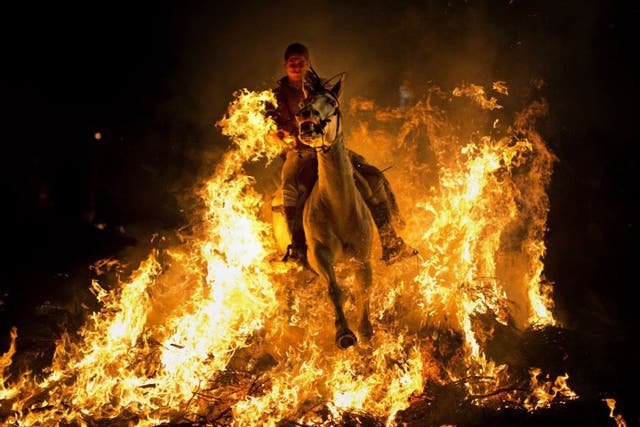 A man rides a horse through a bonfire as part of a ritual in honor of Saint Anthony, the patron saint of animals, in San Bartolome de Pinares, about 100 km west of Madrid