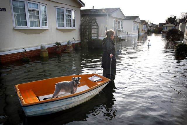 A woman pulls her dog in a boat at the Abbey Fields caravan park after the River Thames flooded on 8 January 8.