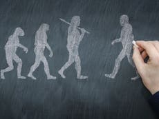 New laws are needed to prevent creationism 'indoctrination' in