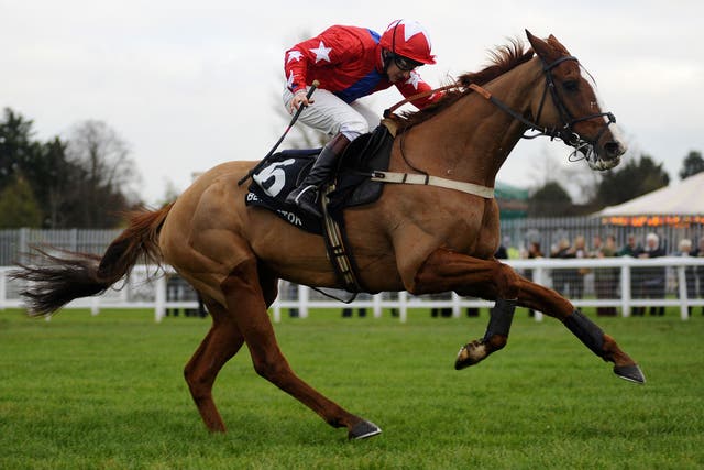 Sire De Grugy's star is rising: five wins from his last six starts