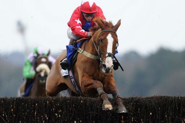 Rising star: Sire De Grugy will contest the Queen Mother Champion Chase