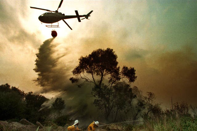 There may be more catastrophic effects on different parts of the world, such as wildfires in Australia, if scientists are correct