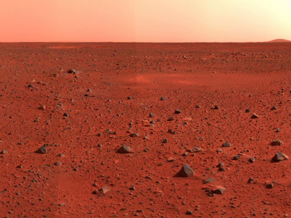 Gulf imams issue fatwa warning Muslims not to live on Mars as it would ...