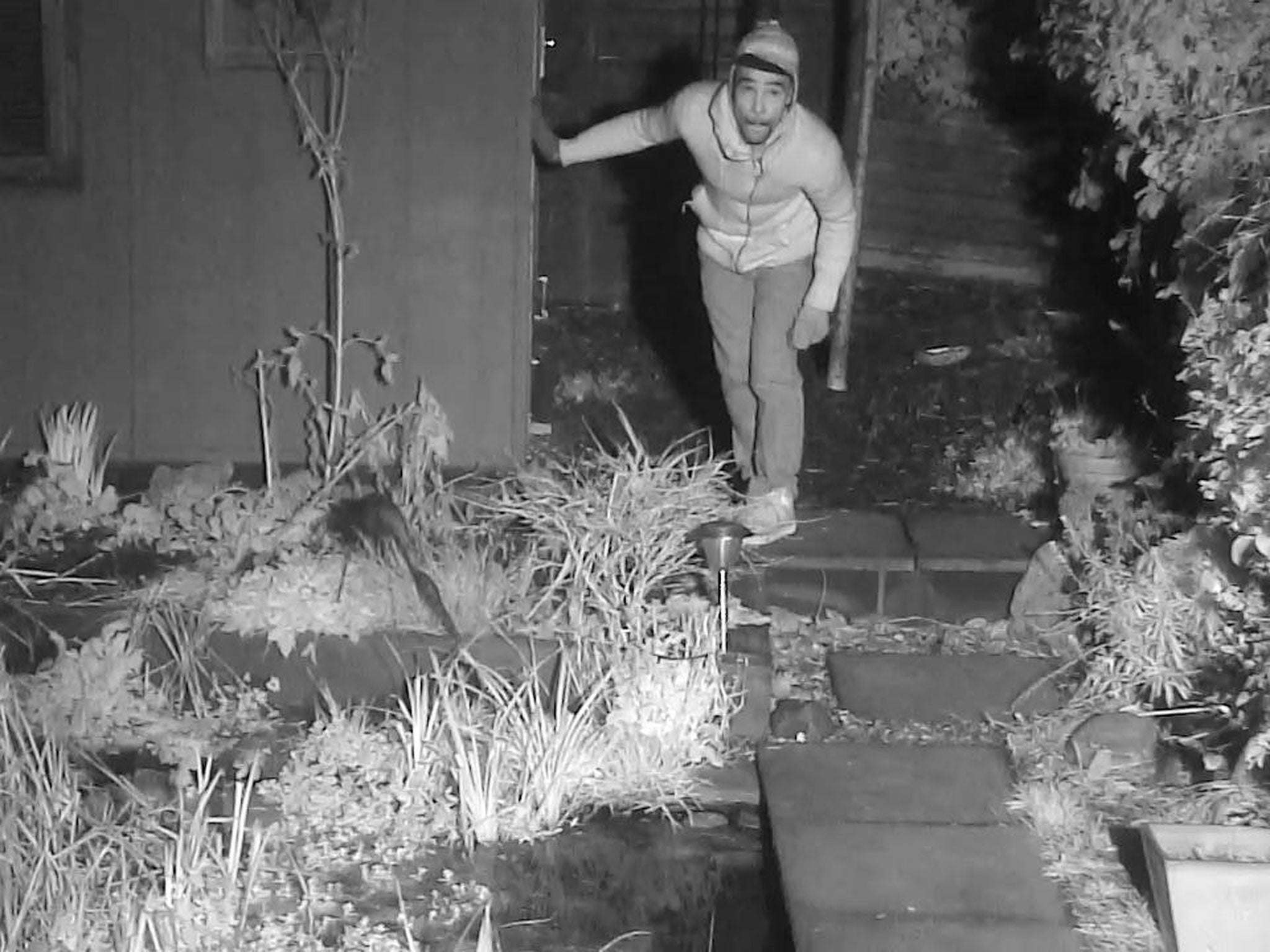 Police released this image, captured by Simon King's 'Fox Family Cam', and said they would like to speak to man in connection with a burglary investigation