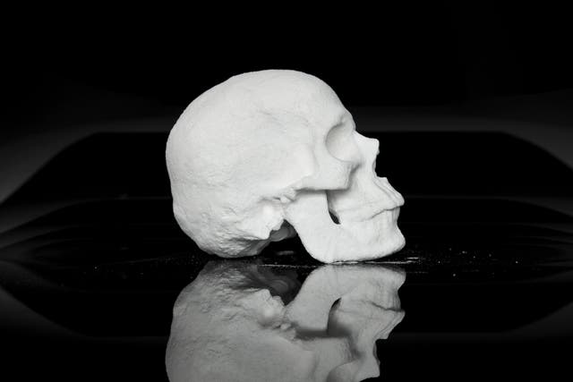 A side view of 'Ecce Animal', a skull moulded out of cocaine by Dutch artist Diddo