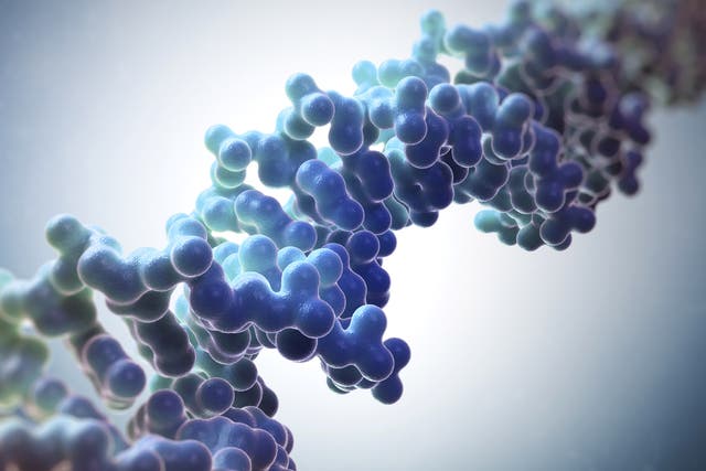 Studies have compared the DNA sequences of schizophrenia patients and healthy individuals