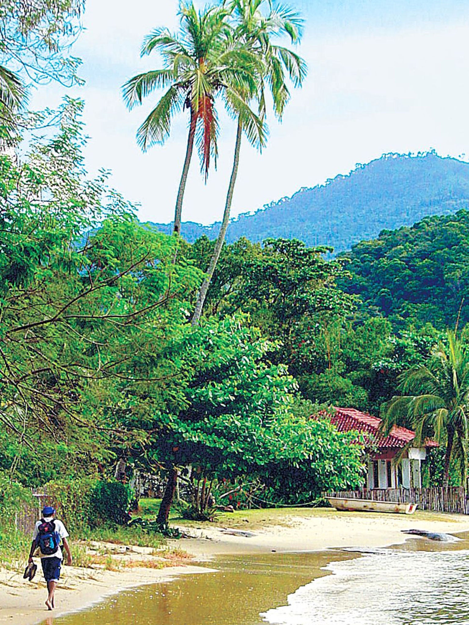 São Paulo travel - Lonely Planet