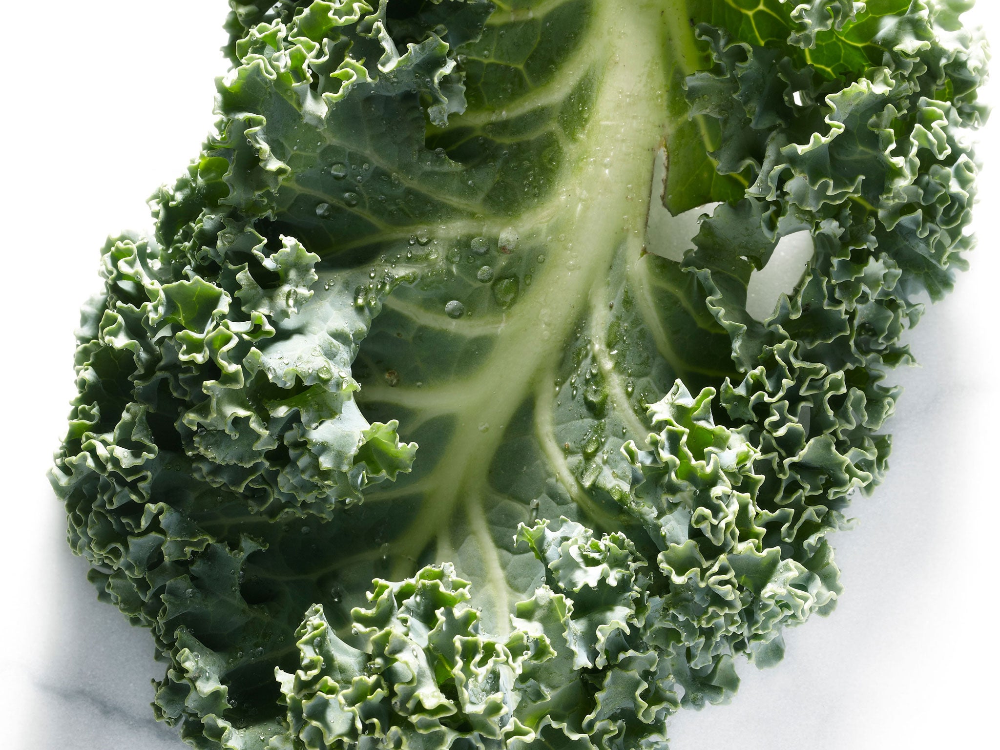 A kale leaf; the green vegetable is enjoying a newfound popularity