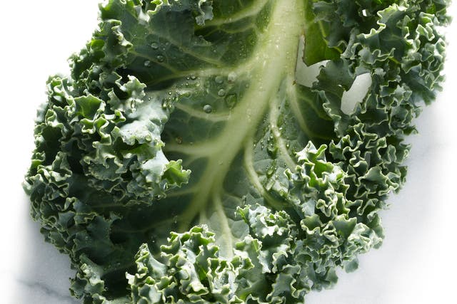 A kale leaf; the green vegetable is enjoying a newfound popularity