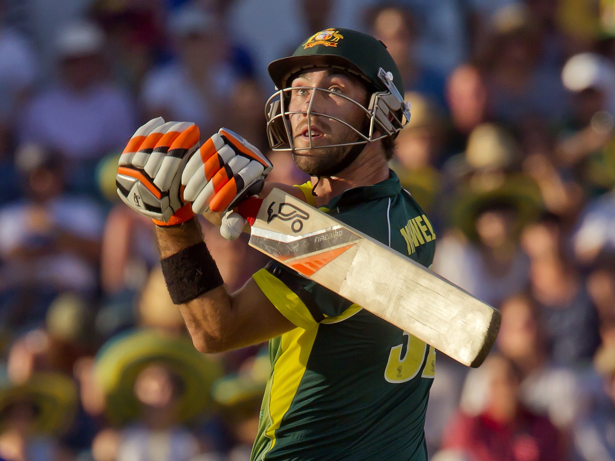 Glenn Maxwell has been singled out for criticism by Darren Lehmann