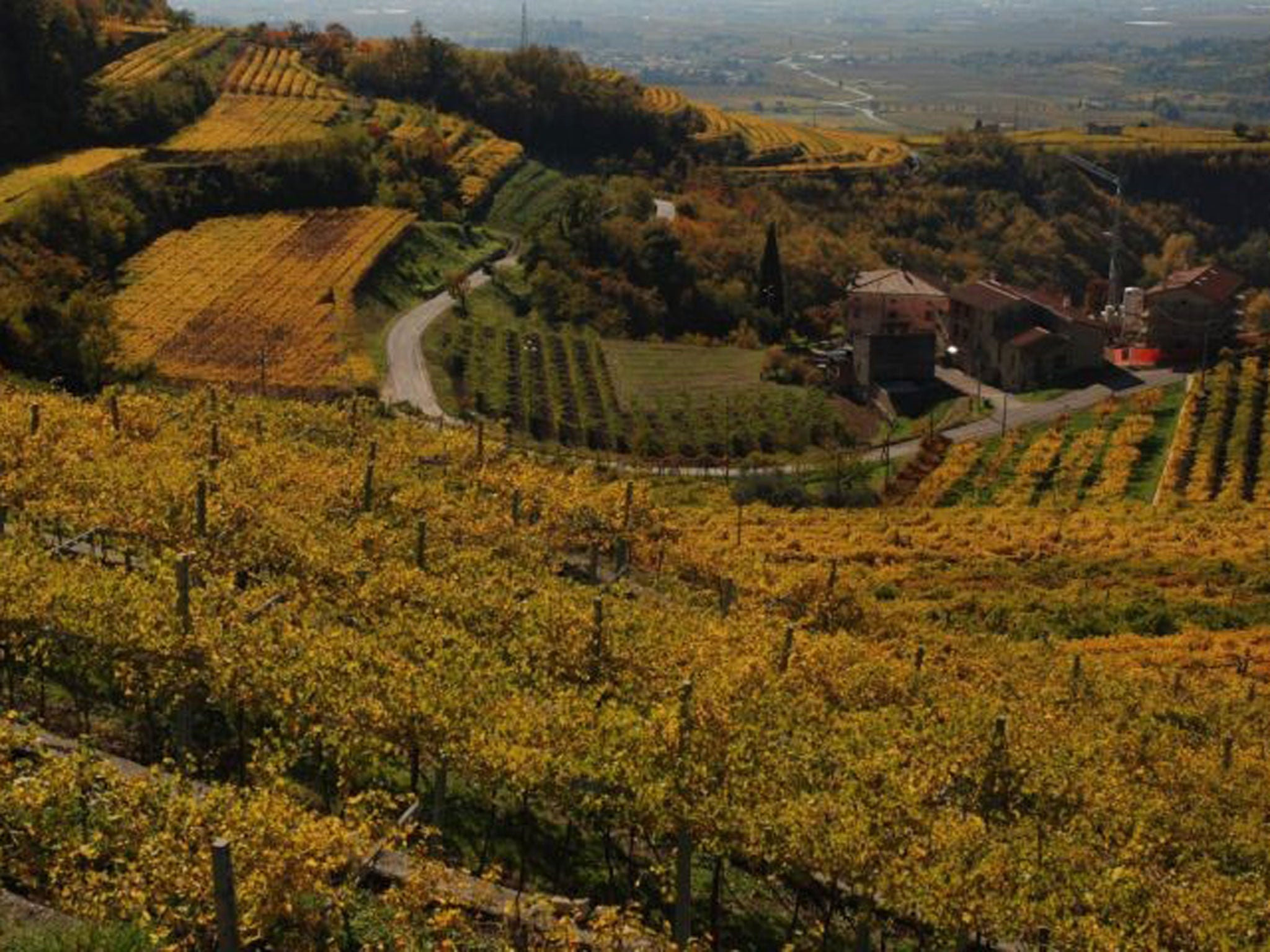 Ziviana Marano di Valpolicella - the local wine region