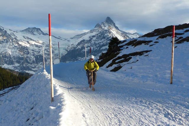 On track: Trying out a velogemel on the slopes near the Swiss resort of Grindelwald 