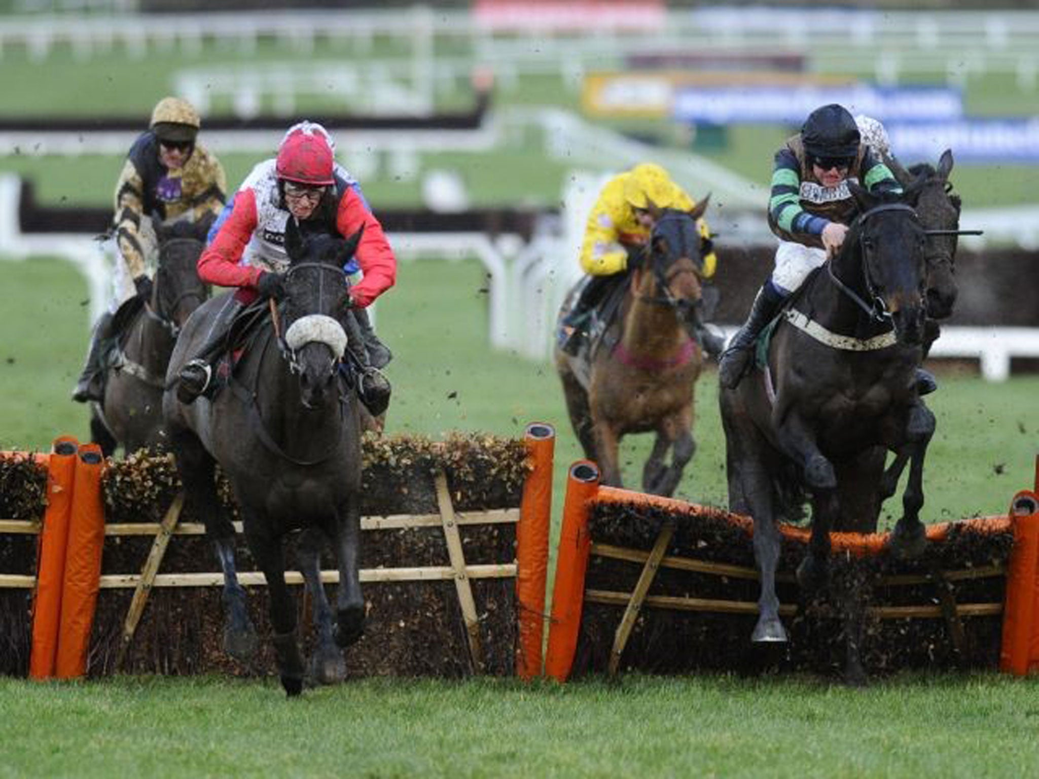 Knock out: Knockara Beau (right) reels in Big Buck’s at the final obstacle of the Cleeve Hurdle to beat the marathon specialist on his return from injury