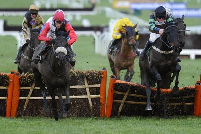 Knock out: Knockara Beau (right) reels in Big Buck’s at the final obstacle of the Cleeve Hurdle to beat the marathon specialist on his return from injury 