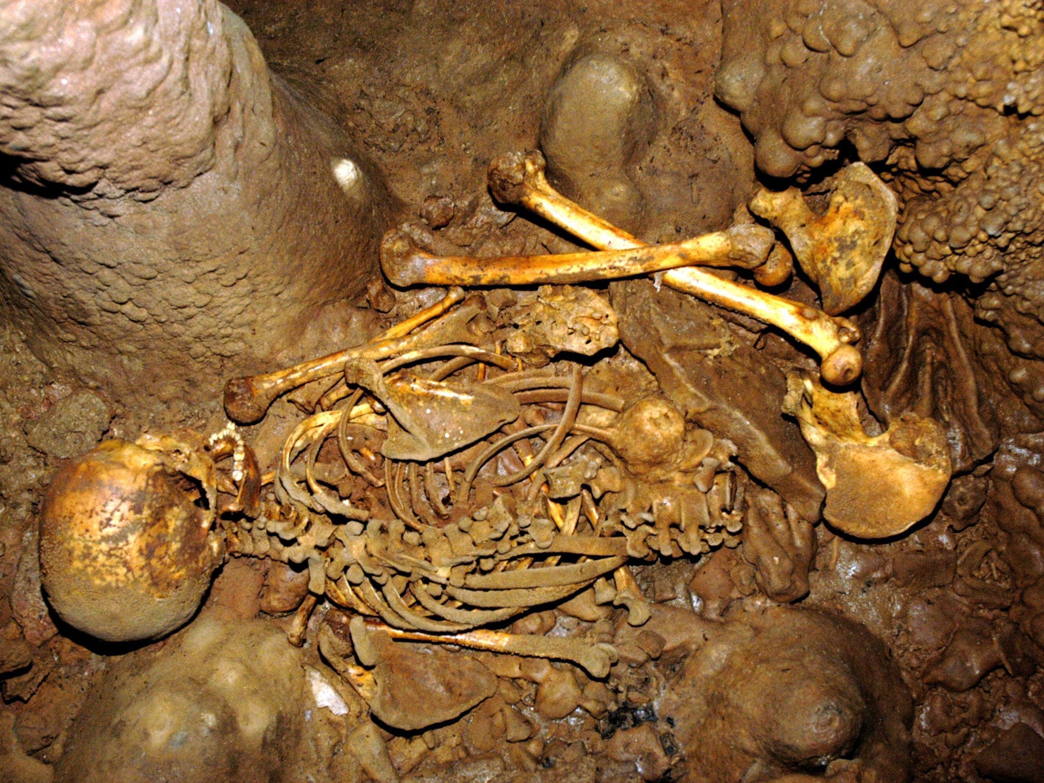 The 7,000-year-old skeleton; experts were astonished to find a combination of African and European genes in the ancient hunter gatherer