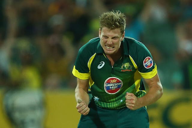 James Faulkner could miss the three-match Twenty20 series with England after suffering a knee injury