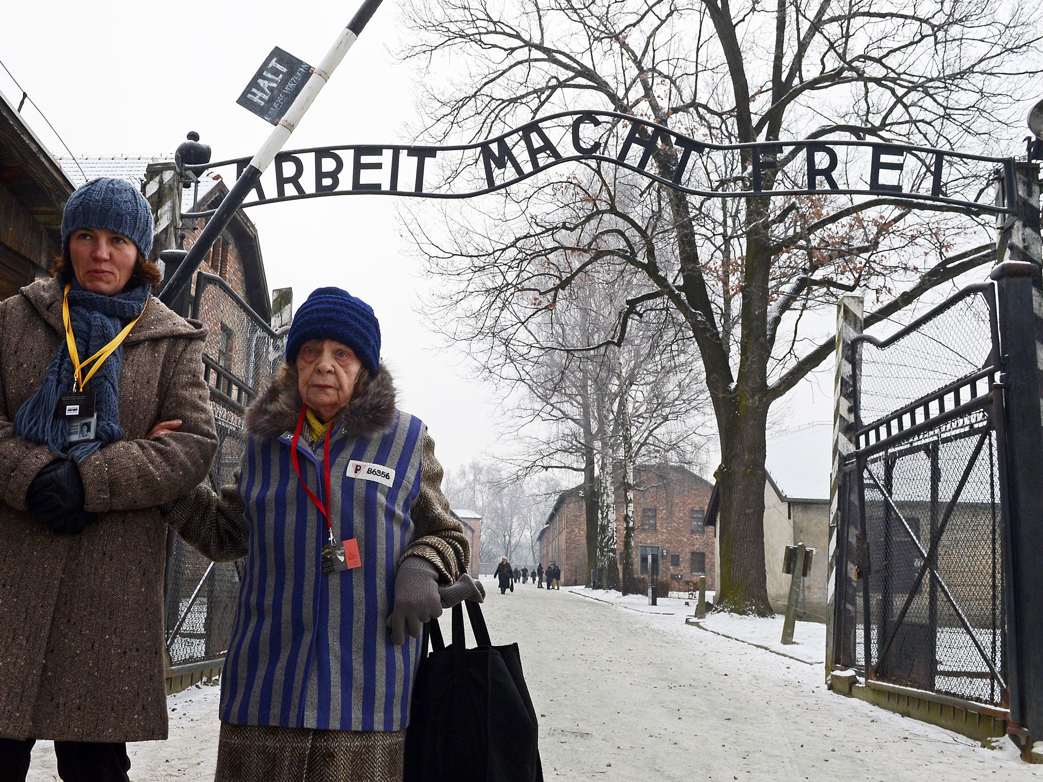 A former concentration camp prisoner attends a ceremony at the memorial site of the former Nazi concentration camp Auschwitz-Birkenau in Oswiecim, Poland, on Holocaust Day.