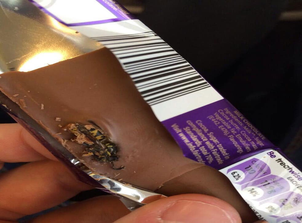 A wasp found in bar of Cadbury chocolate 