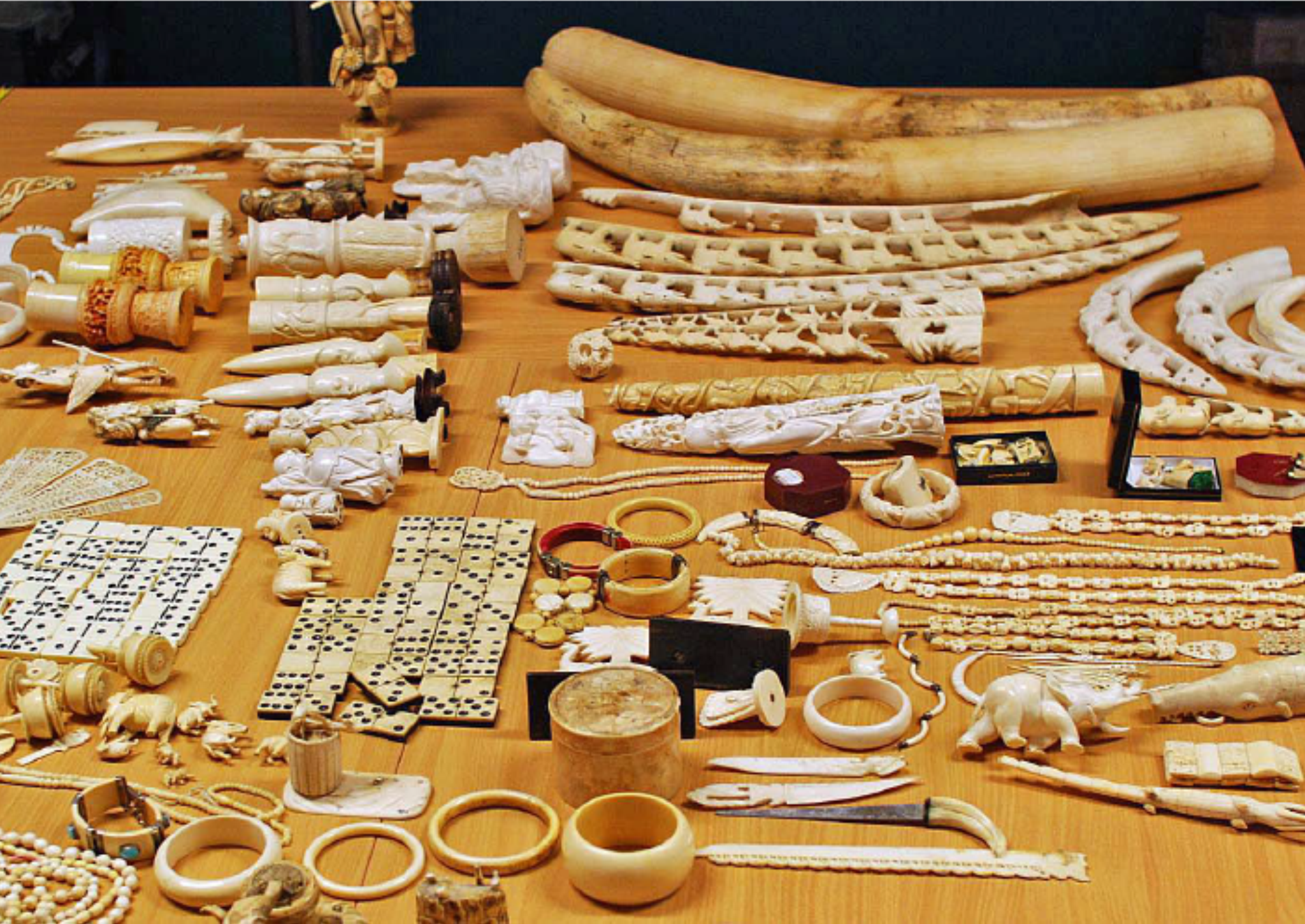 Ivory items surrendered to the International Fund for Animal Welfare