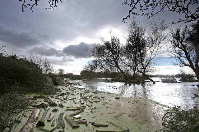 Debris washed up by flood water in Moorland, where 40 square miles of the Somerset Levels remain underwater