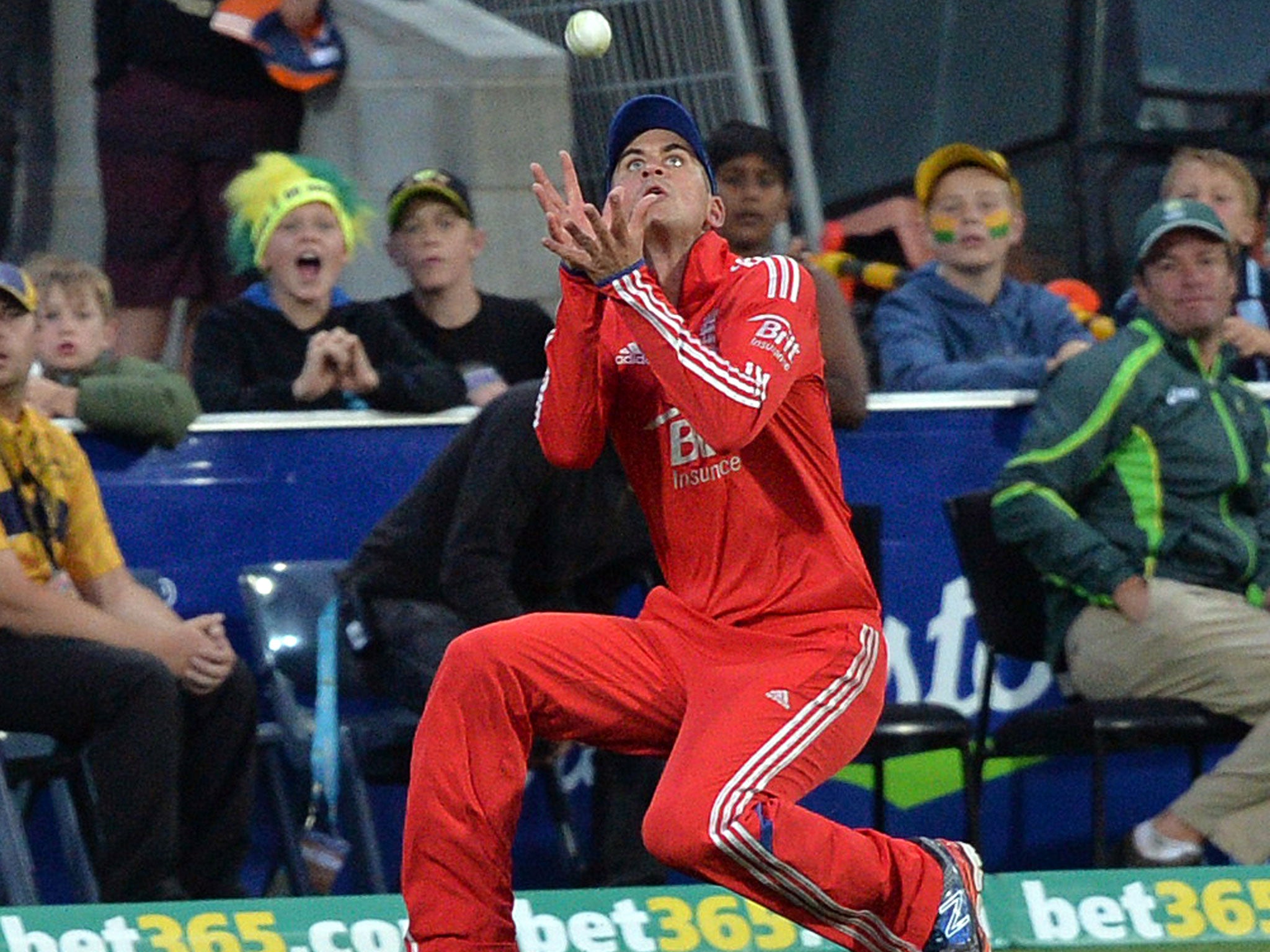England opener Alex Hales takes a catch during the first Twenty20 match against Australia
