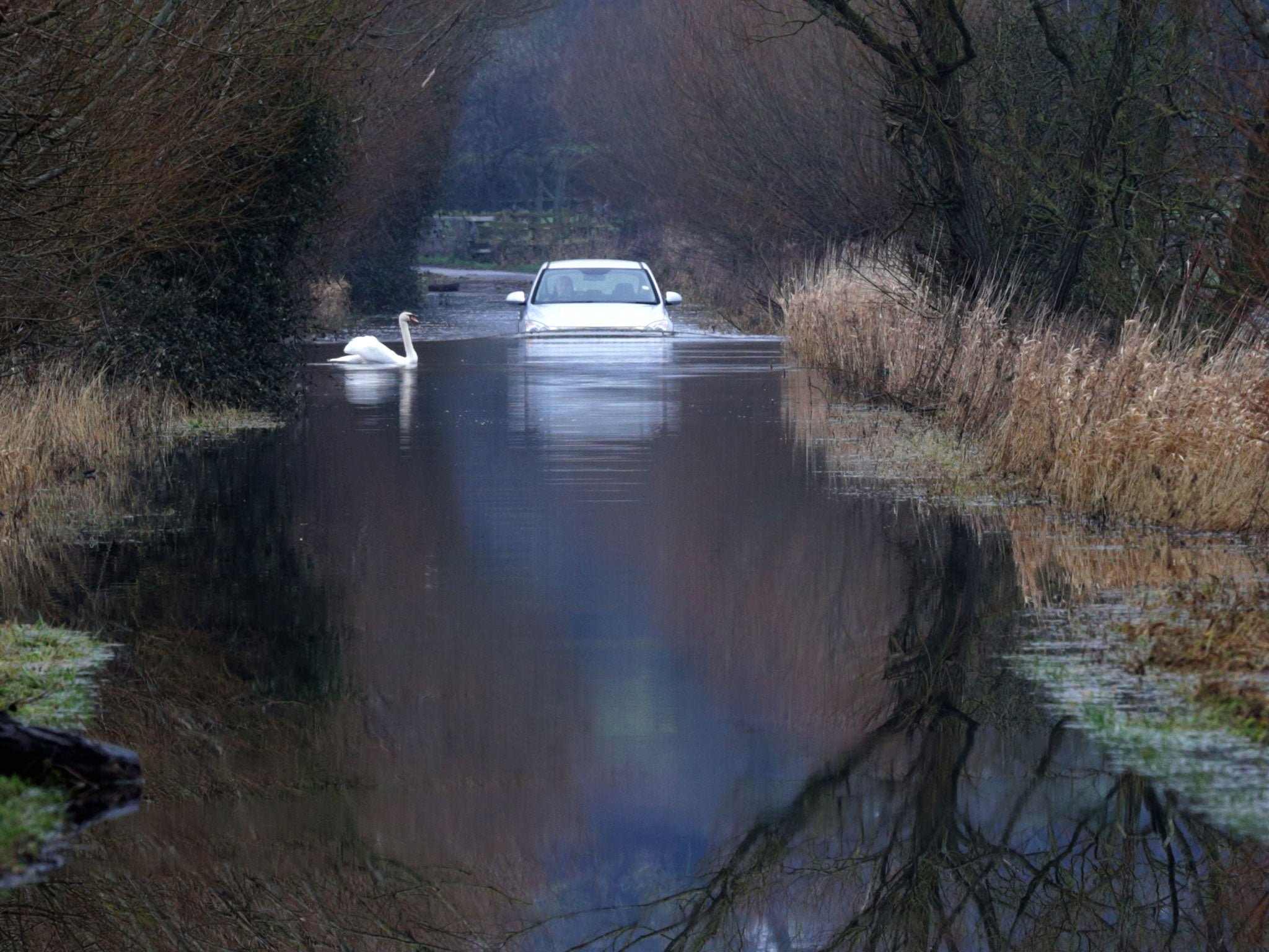 A car drives through flood water on the Somerset Levels near Langport in Somerset