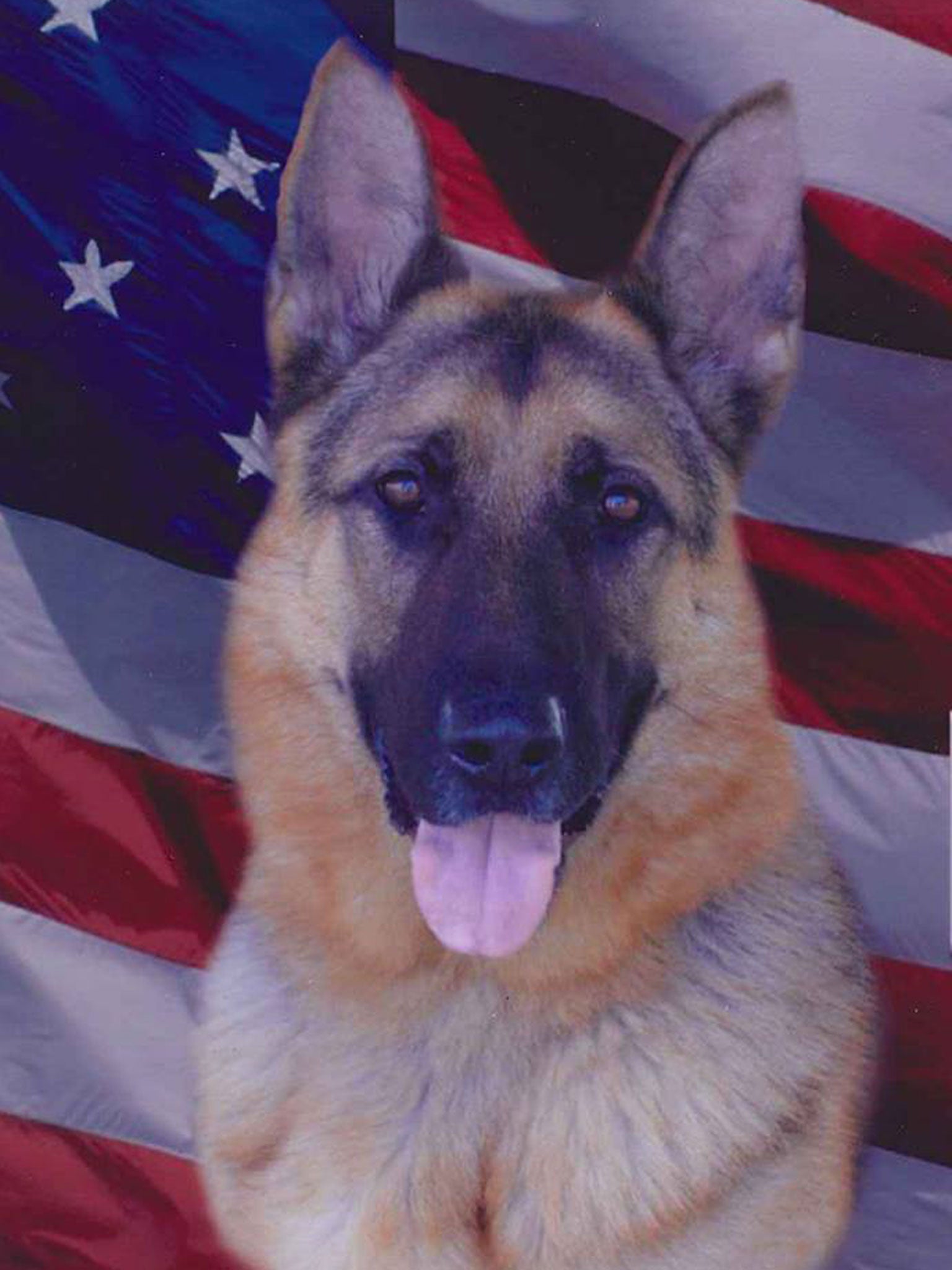 An officer has penned a heart felt letter in tribute of his police dog Dante, after he was put down