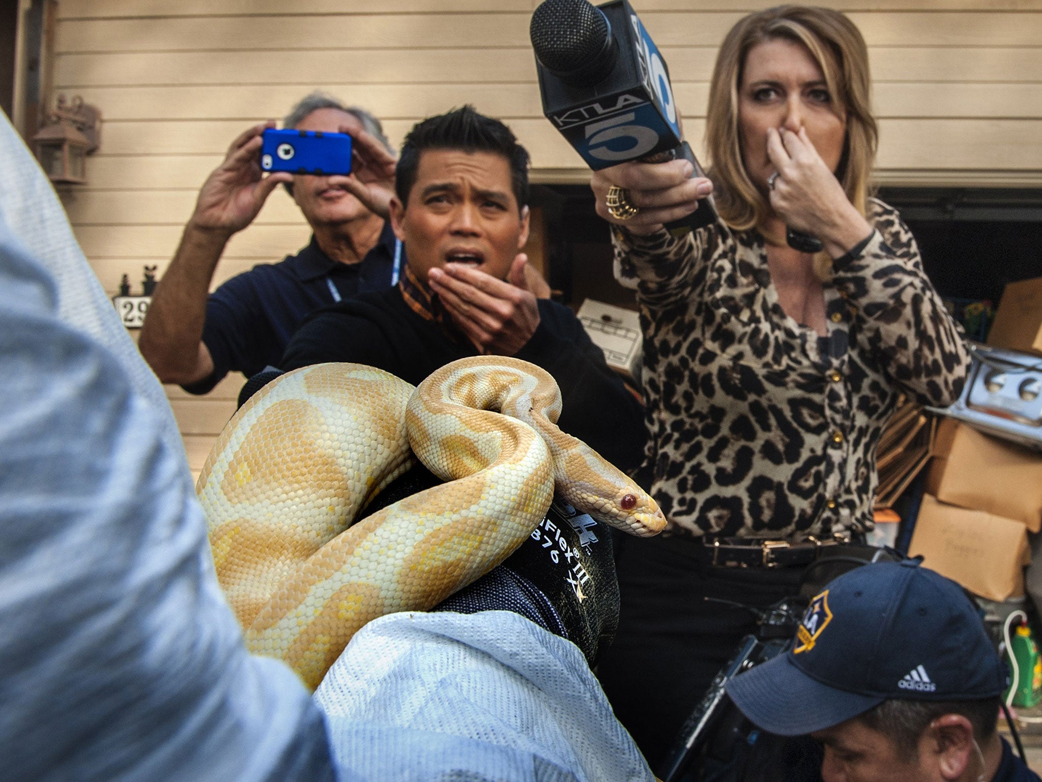 While interviewing Sondra Berg, Santa Ana Police Animal Services supervisor, television reporters Bobby DeCastro, from FOX11, and Wendy Burch, of KTLA 5 plug their noses to avoid the stench emanating from the house with of dead and decaying snakes in San