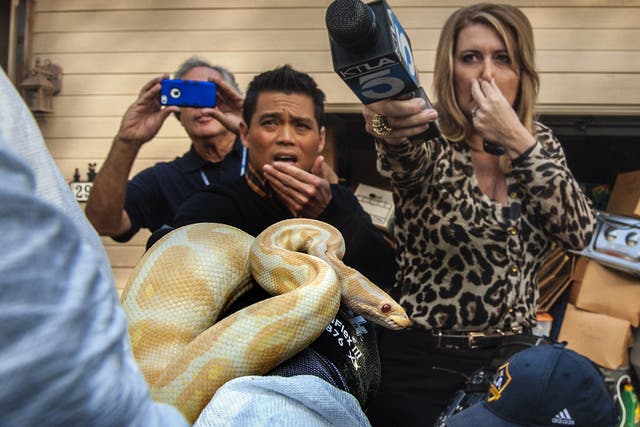 While interviewing  Sondra Berg, Santa Ana Police Animal Services supervisor, television reporters Bobby DeCastro, from FOX11, and Wendy Burch, of KTLA 5 plug their noses to avoid the stench emanating from the house with of dead and decaying snakes in San
